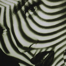 Load image into Gallery viewer, Monochrome Hypnotic Woman Velvet Wall Hanging
