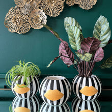 Load image into Gallery viewer, Monochrome Striped Lips Planter