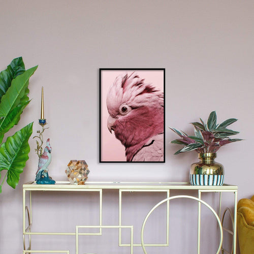 Pablo Pink Parrot Print | Unframed