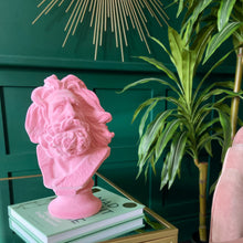 Load image into Gallery viewer, Pink Flocked Marseillaise Bust