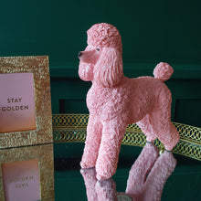 Load image into Gallery viewer, Penelope Pink Poodle Money Box