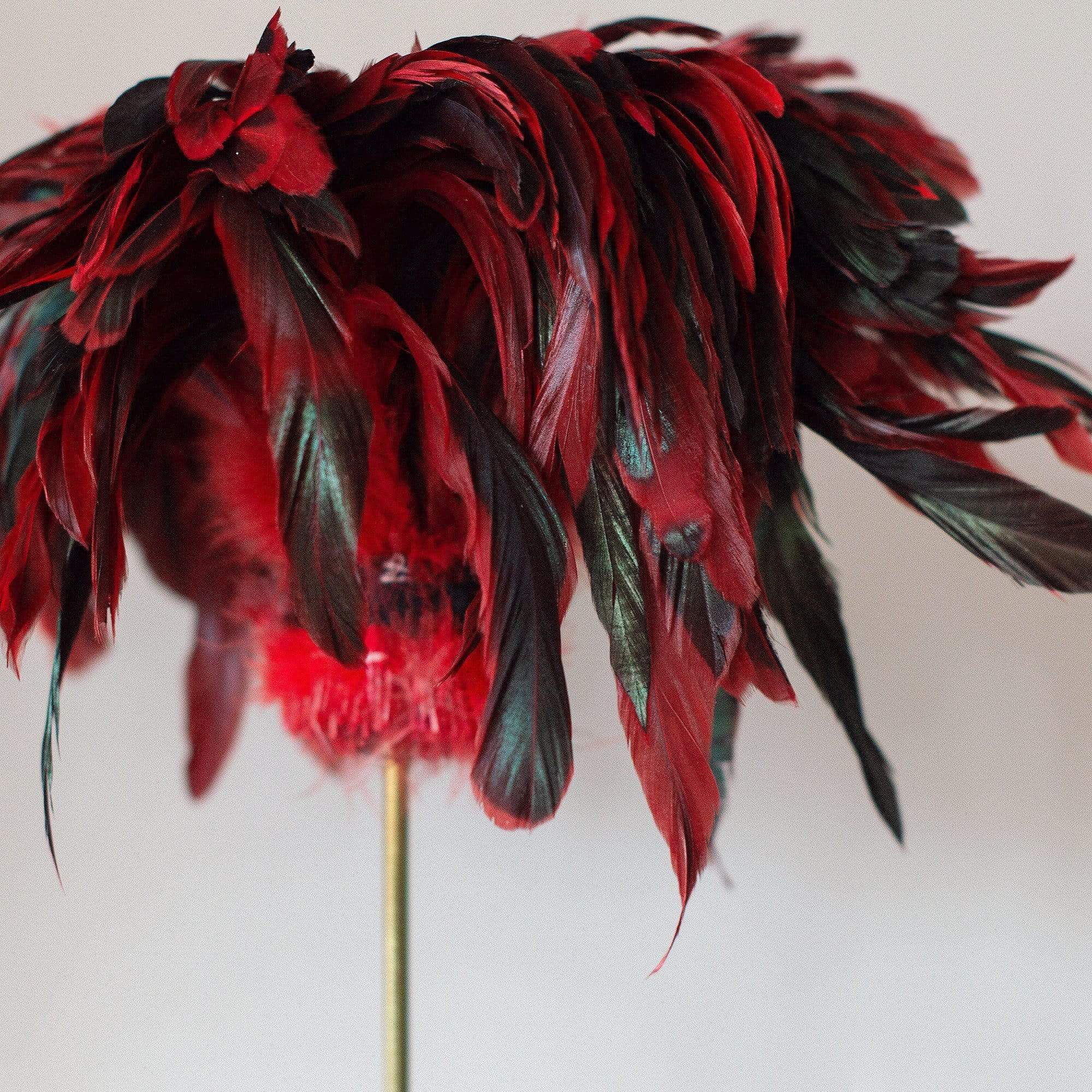 Red Feather Decoration on Glass Base
