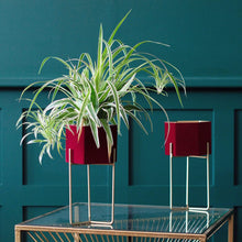 Load image into Gallery viewer, Red Velvet Planter on Stand