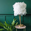 A white feather bird leg lamp on a side table beside a plant
