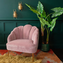 Load image into Gallery viewer, Scalloped Oyster Velvet Chair | Blush Pink