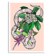 Load image into Gallery viewer, Snakes of Creation Print | A2 Unframed