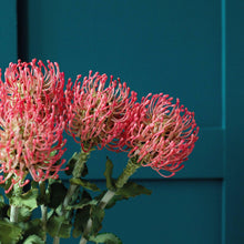 Load image into Gallery viewer, X3 Faux Flame Pink Protea Stem