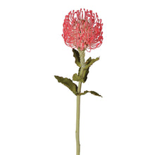 Load image into Gallery viewer, X3 Faux Flame Pink Protea Stem